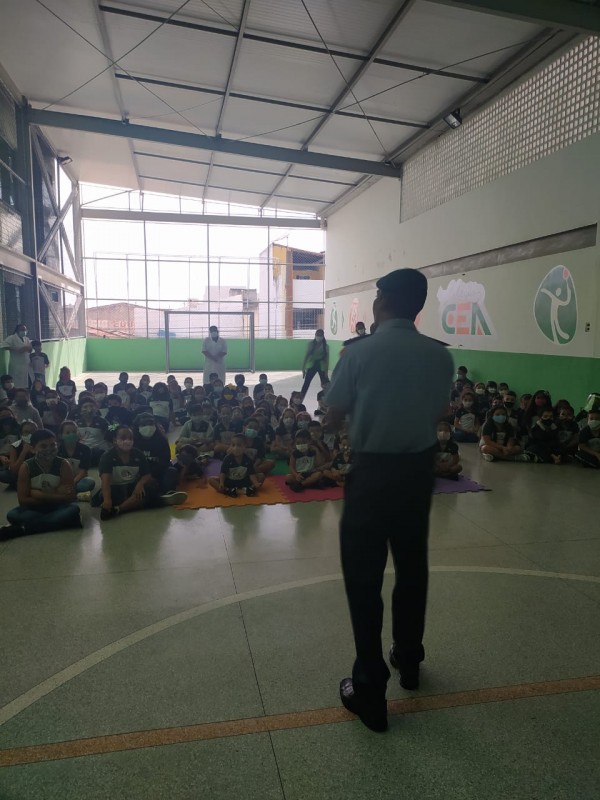 Álbum CEA - Educação Infantil
