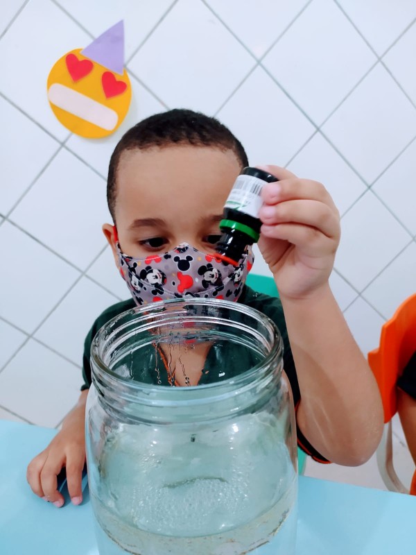 Álbum CEA - Educação Infantil